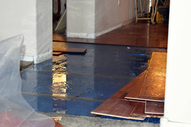 Professional Emergency Water Damage Restoration technician working in Harper, WV